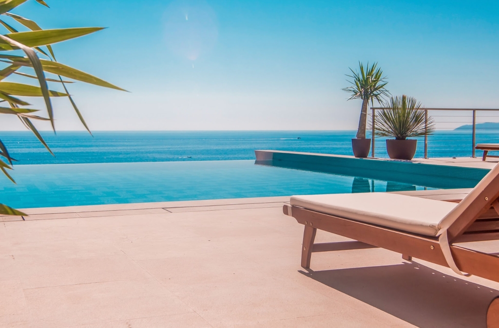 how blue profit was born