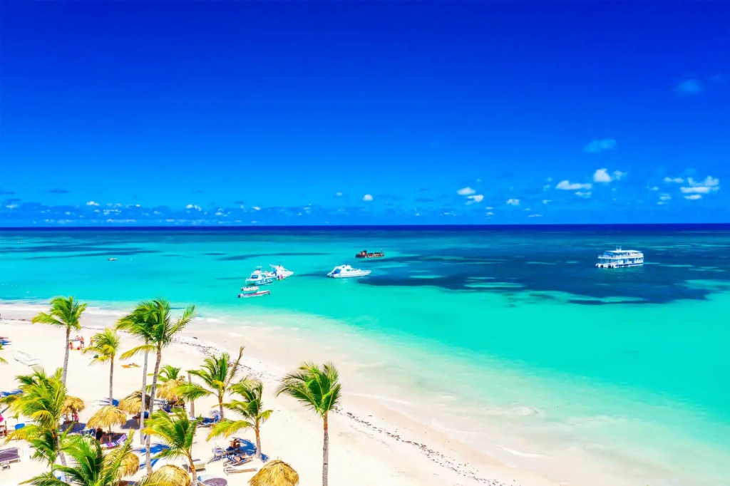 whyinvest in dr imagen 1