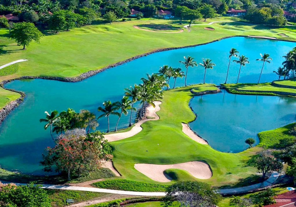 whyinvest in dr imagen 2