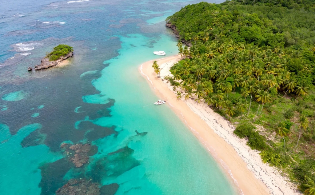 miches location blue profit