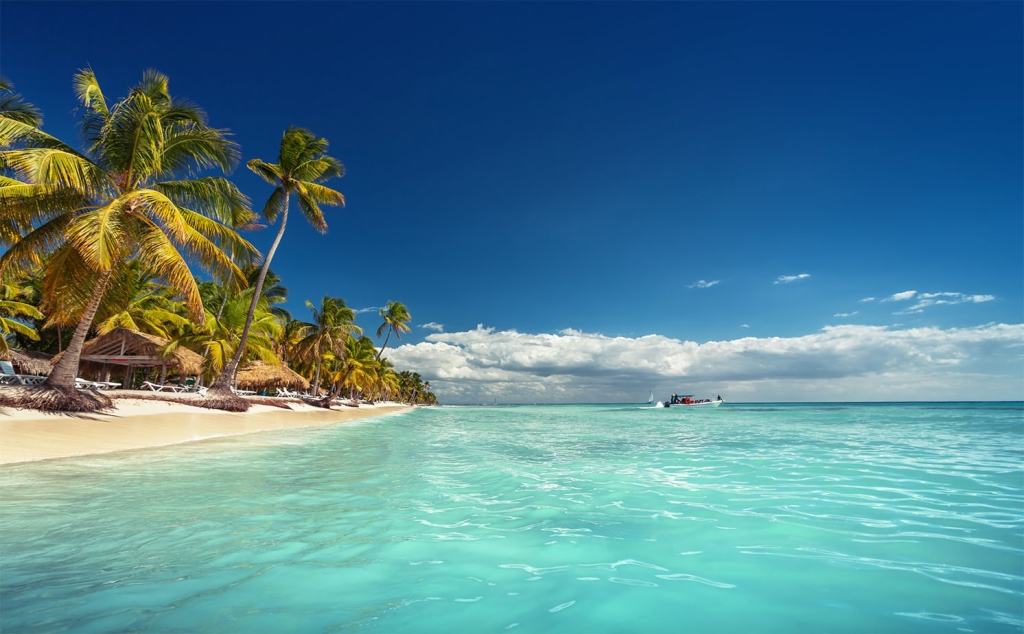 punta cana location blue profit