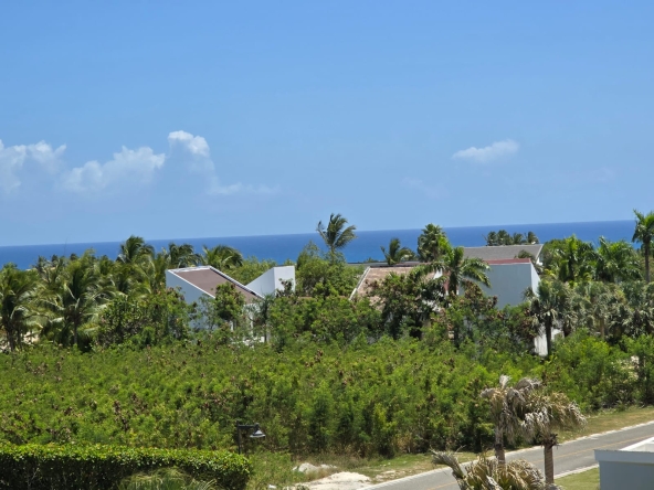 Elegante Villa casa en venta en Cap Cana , República Dominicana, de Lujo , con acceso a marina, establo, campo de golf, parque ecológico, centro ecuestre, restaura (5)